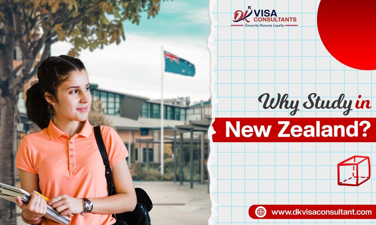 Why study in New Zealand
