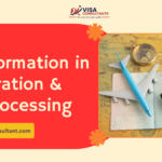 Digital Transformation in Immigration and Visa Processing
