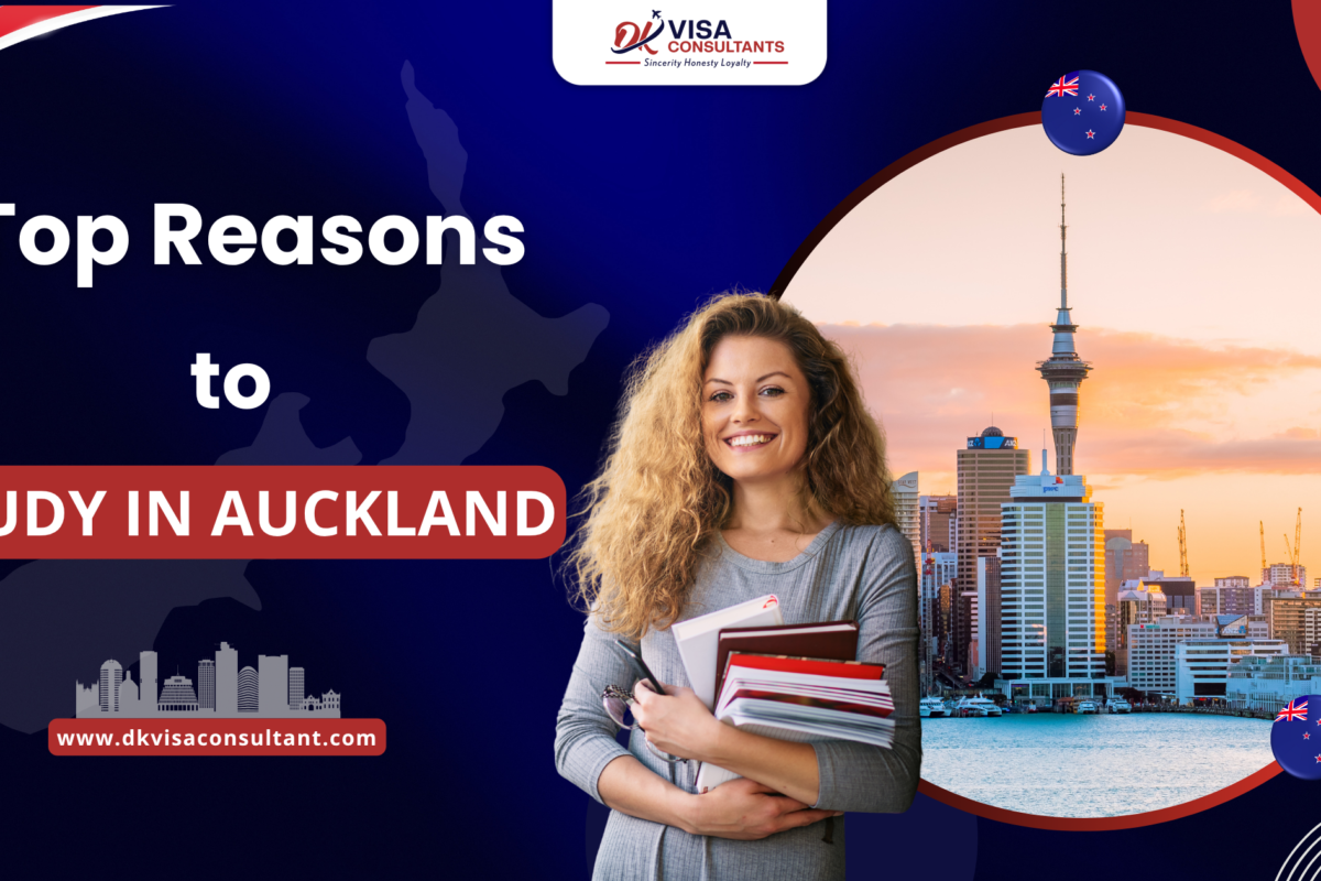 Study in Auckland