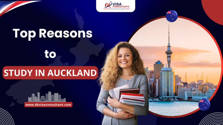 Study in Auckland